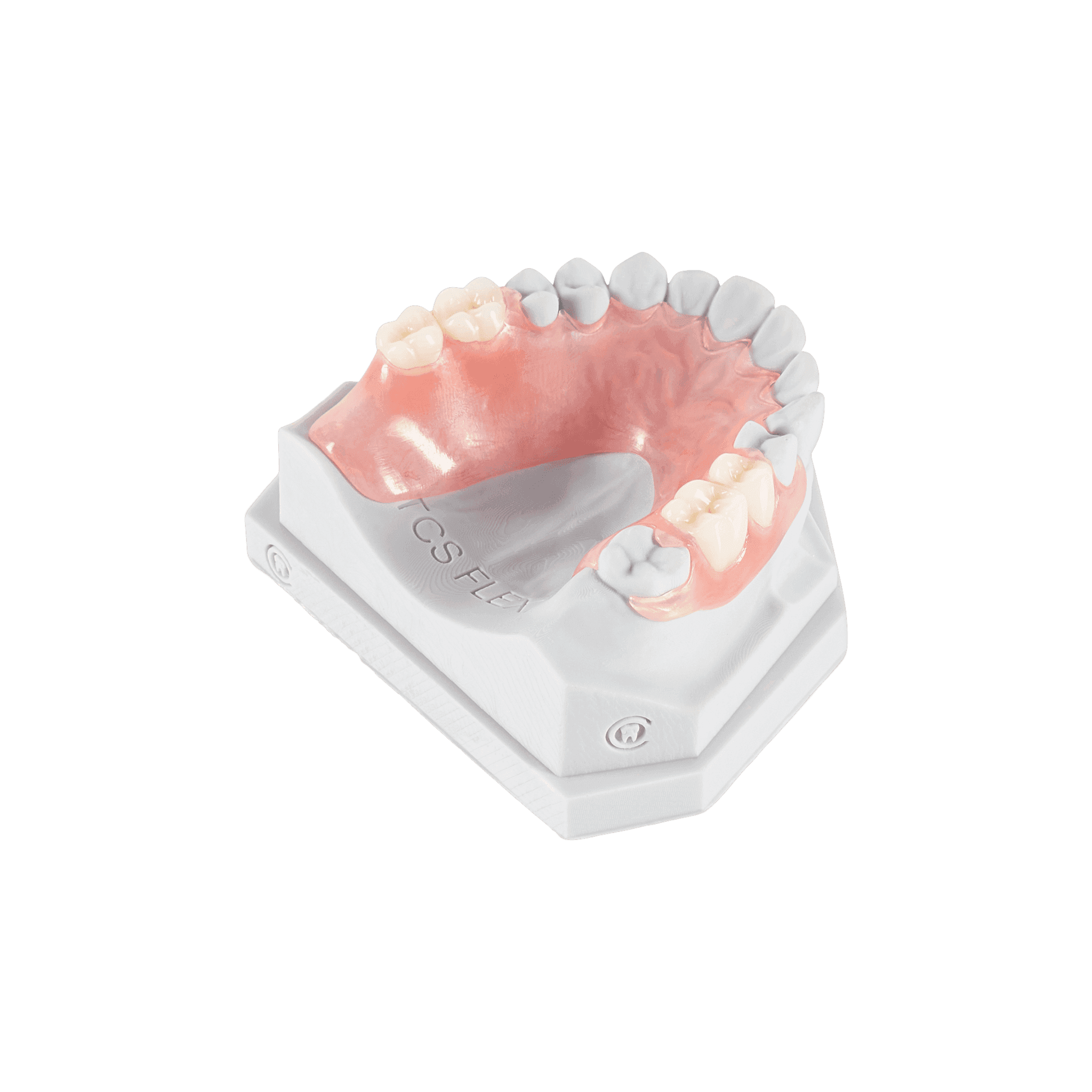Standard Denture Repair